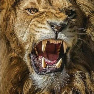 Meet your Posher, Rob